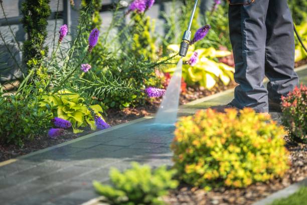 Iota, LA  Pressure Washing Services Company